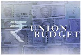 Understanding the FRBM Act A Key Pillar in Union Budget 2025 Discussions