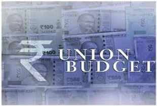 Understanding the FRBM Act A Key Pillar in Union Budget 2025 Discussions